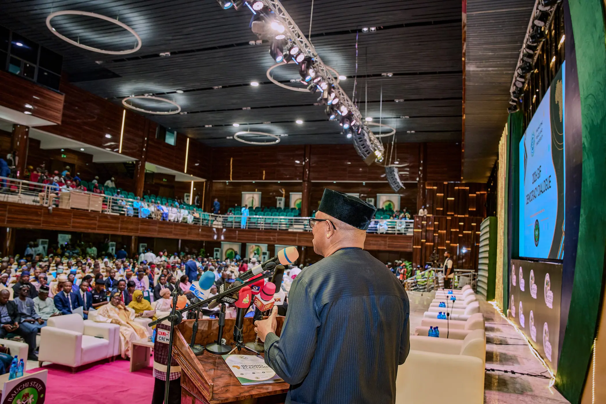 Peter Obi photographed from behind at a lectern addressing a full legislative chamber